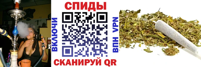 купить   Ясногорск  БУТИРАТ BDO 33% 