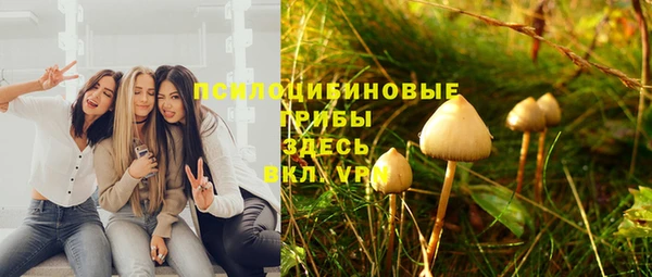 PSILOCYBIN Строитель