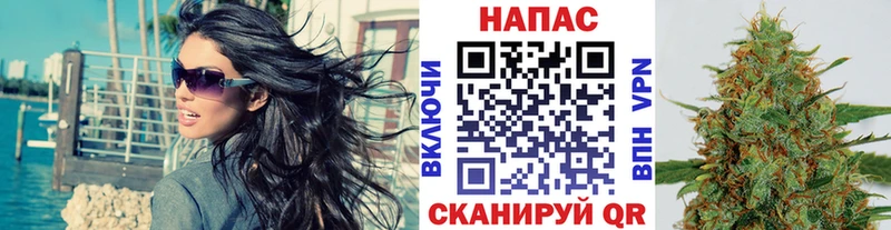 Шишки марихуана марихуана купить наркотики сайты Ясногорск